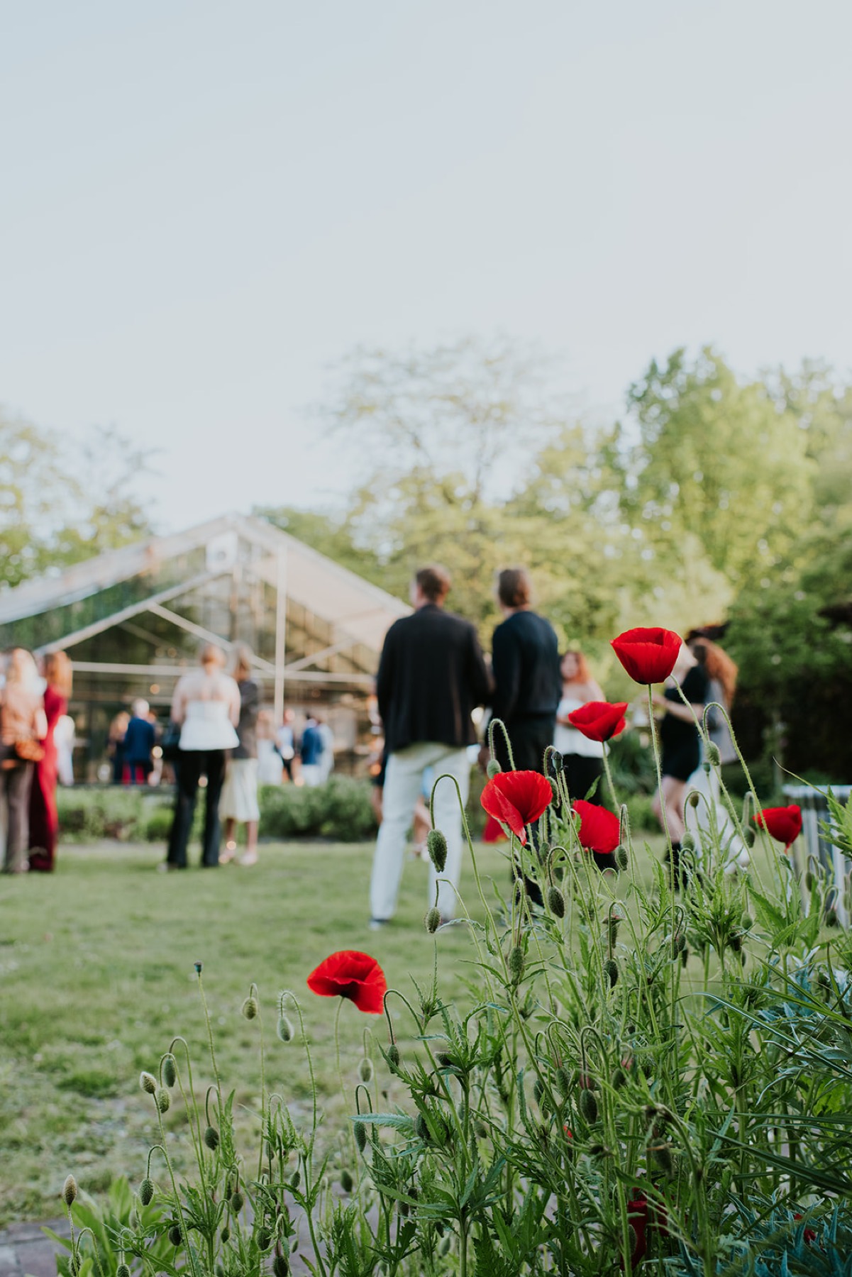 The garden at Annerie's celebration