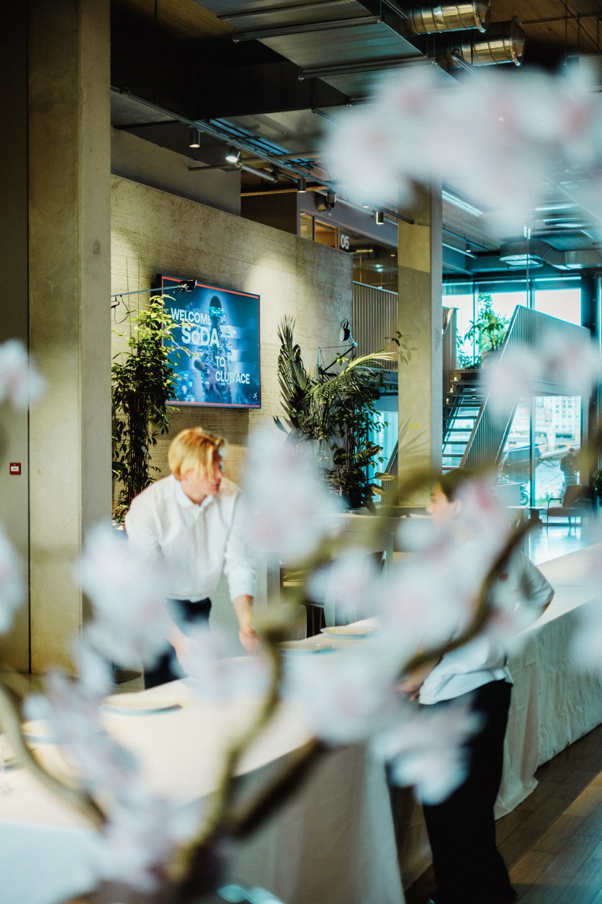 A Culinary Affair: Club Ace, Amsterdam